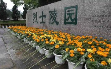 扫墓活动方案最新8篇