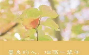 善少年事迹材料参考6篇
