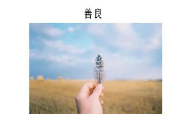 善的教育读后感最新8篇