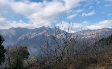 山中访友》教学反思6篇