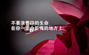 生存的作文最新6篇