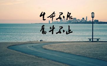 职场生存心得体会6篇