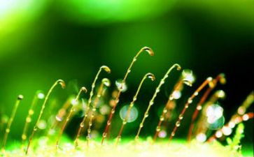 珍爱生命安全教育教案8篇