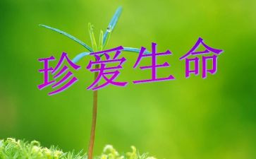 安全教育珍爱生命体会心得6篇