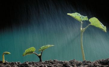 以珍爱生命为主题的演讲稿7篇