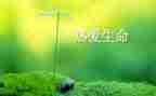 珍爱生命防溺水演讲稿精选5篇