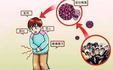 病媒生物防制工作总结8篇