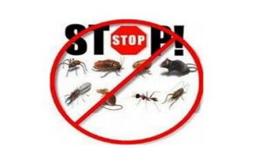 媒生物防制工作计划5篇