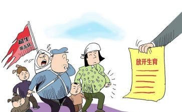 区计划生育工作计划总结7篇