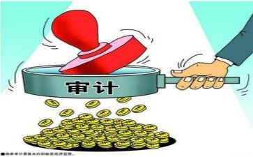 公司年度审计工作报告7篇