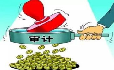 审计室年度工作总结7篇