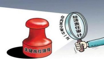 管理审计工作总结8篇