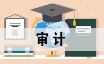 审计月工作总结参考5篇
