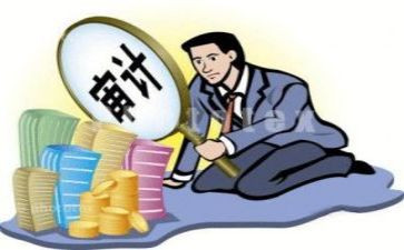 审计股年度工作总结6篇
