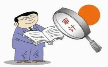 助理审计员年度工作总结6篇