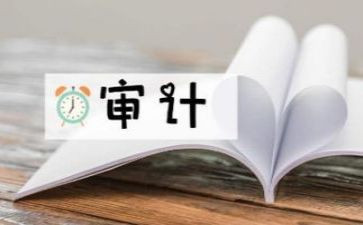 审计财务年终总结8篇