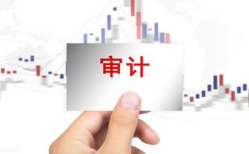 审计局2023工作总结7篇