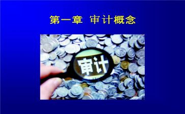 年度审计工作总结5篇