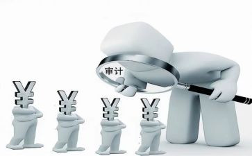 被审计心得体会2000字7篇