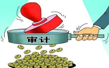 审计所个人总结通用6篇