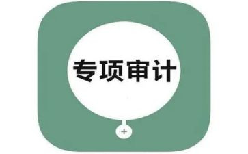 审计年度工作报告5篇