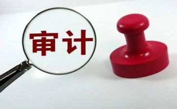 审计局个人年度工作总结8篇