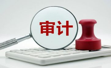 审计年终工作总结优质7篇