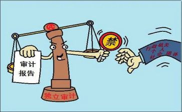 审计人年度工作总结5篇