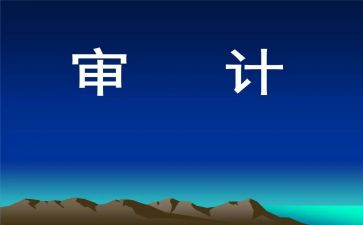 审计岗年度工作总结5篇