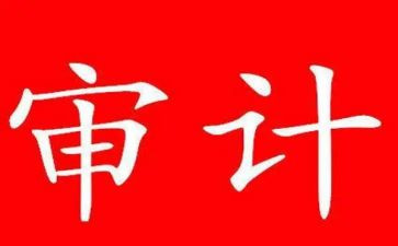 审计日工作总结最新5篇