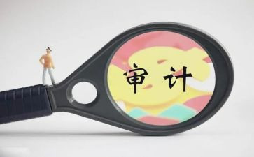 审计股的工作计划5篇