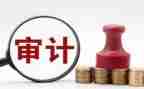 审计员年终总结5篇