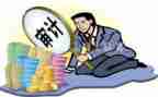 审计股年度工作总结6篇