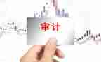 2023度审计工作报告5篇