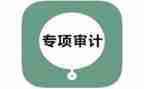 审计年度工作报告5篇