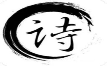诗选读后感优质8篇