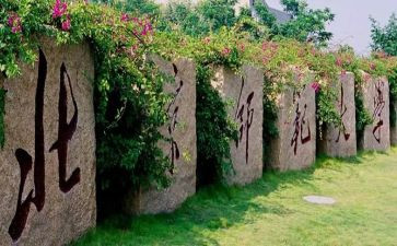 北师大版八上数学教学计划7篇