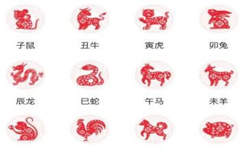 有趣十二生肖教案5篇