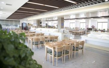 找食堂工作总结参考8篇