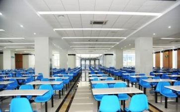 食堂工作总结和明年工作计划5篇