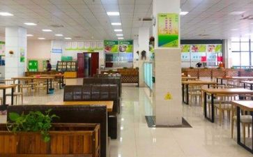 找食堂工作总结最新5篇