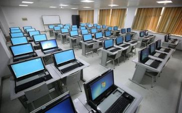 大学生实训的心得体会优质5篇