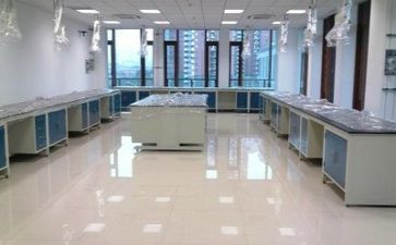 实验室年度工作个人总结6篇