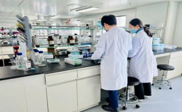 实验室年度个人总结7篇