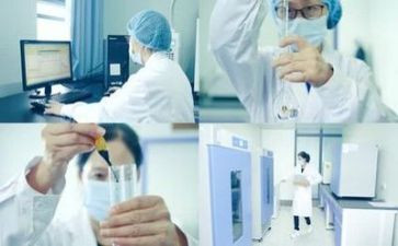 实验室个人年度工作总结7篇