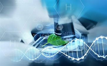 大学实验心得体会范文5篇