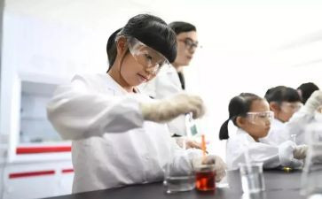 8上实验教学工作总结6篇