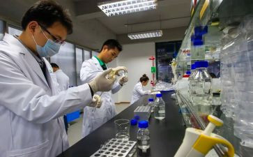试验工作工作总结参考5篇