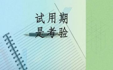 财务岗试用期工作总结5篇