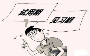 销售员试用期工作总结5篇